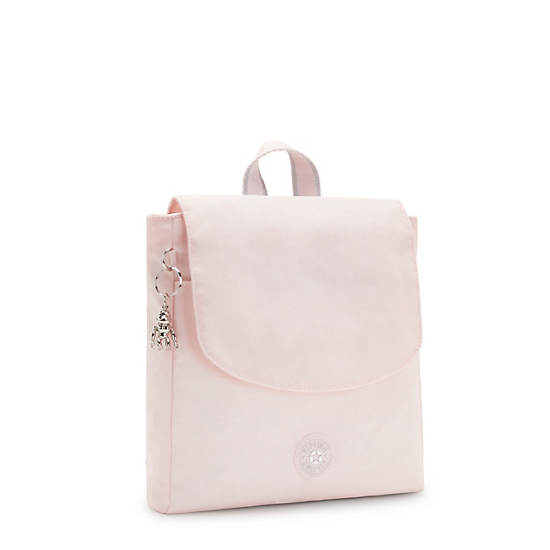 Sacs À Dos Kipling Dannie Small Rose | FR 1664BE